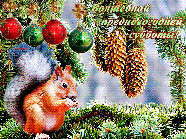 Блестящая гиф открытка с белочкой "Волшебной предновогодней субботы!".