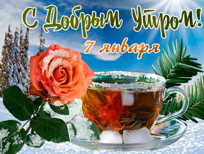 Красивая зимняя картинка с чаем и розой для пожелания доброго утра 7-го января. Красивая зимняя картинка с чаем и розой для пожелания доброго утра 7-го января.