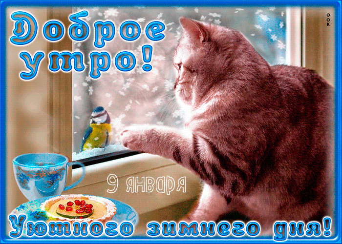 Мерцающая gif картинка с котом и надписью "Доброе утро! 9 Января уютного зимнего дня!". Мерцающая gif картинка с котом и надписью "Доброе утро! 9 Января уютного зимнего дня!".