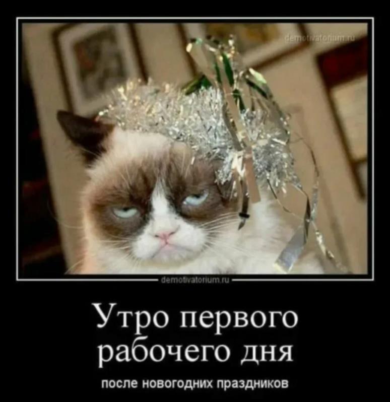 Смешной демотиватор с котом про утро первого рабочего дня, после новогодних праздников. Смешной демотиватор с котом про утро первого рабочего дня, после новогодних праздников.