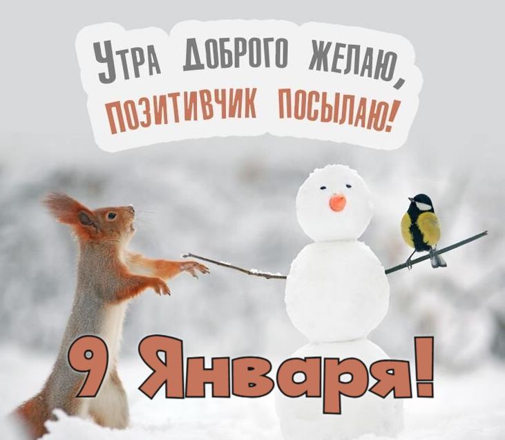 Прикольная картинка с белочкой и снеговиком для пожелания доброго и позитивного утра 9-го января. Прикольная картинка с белочкой и снеговиком для пожелания доброго и позитивного утра 9-го января.