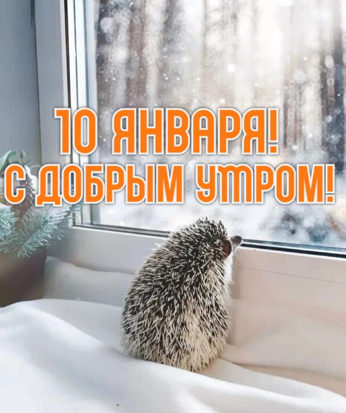 Красивые картинки с добрым зимним утром 10-го Января.