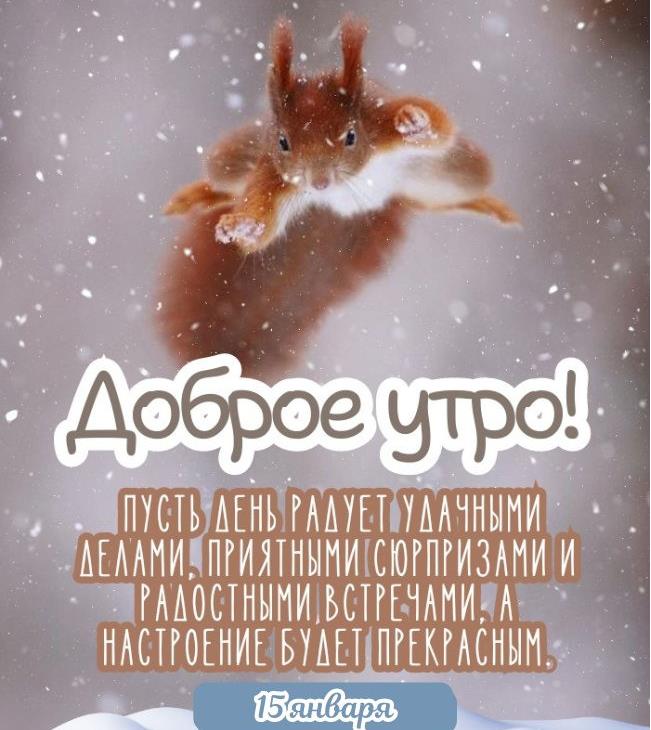 Смешная картинка с белочкой на утро 15-го января.