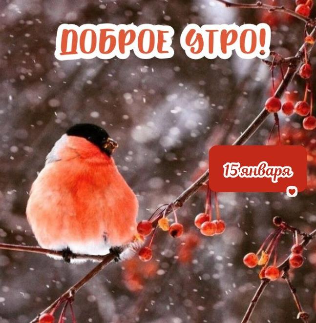 Красивые зимние картинки с пожеланием доброго утра пятнадцатого января.