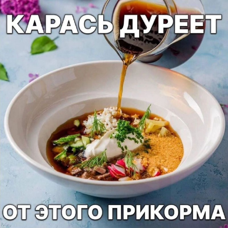 Мем "Карась дуреет с этой прикормки".