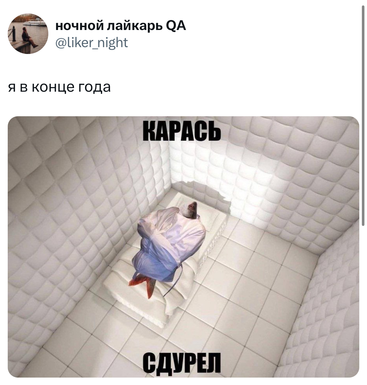 Я в конце года, карась сдурел.