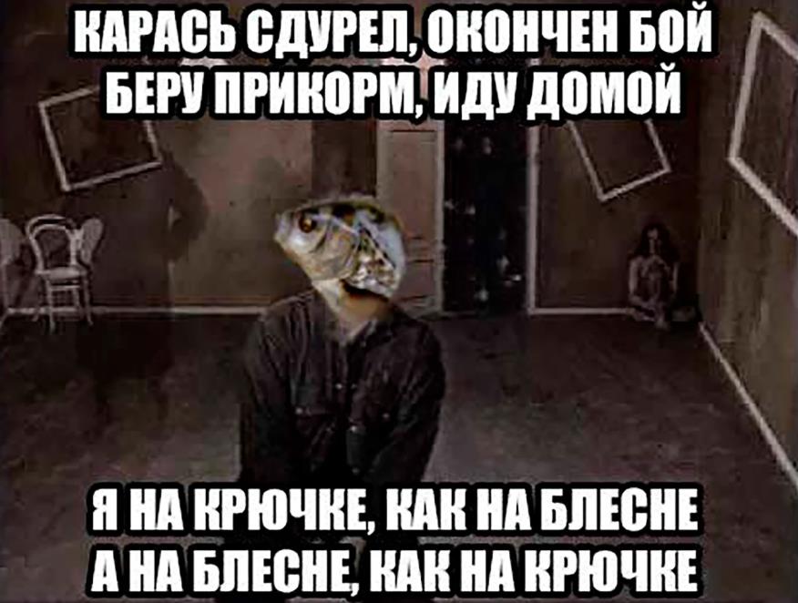 Ещё один вариант мемы про дуреющего карася с пародией на песню Агаты Кристи "Я на тебе как на войне".