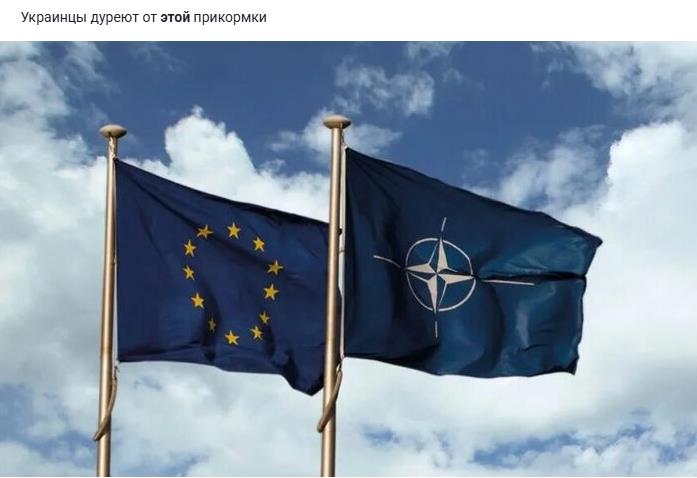 Флаги НАТО и ЕС - Украинцы дуреют от этой прикормки.