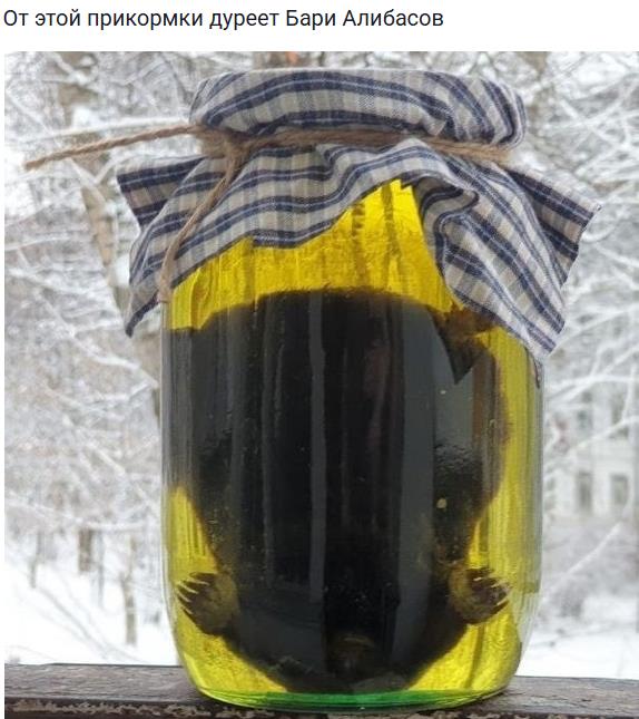 Старый прикол про крота в новом виде, от этой прикормки дуреет Бари Алибасов.