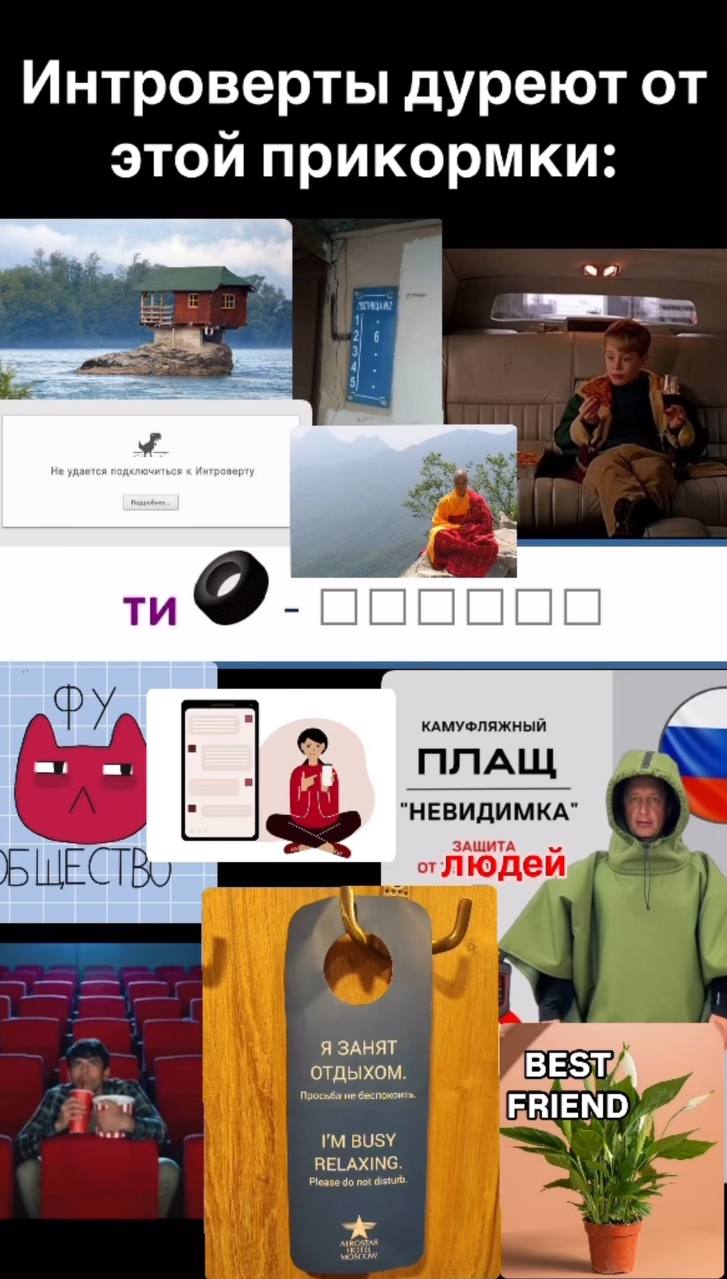 Интроверты сошли бы с ума от такой кормёжки.