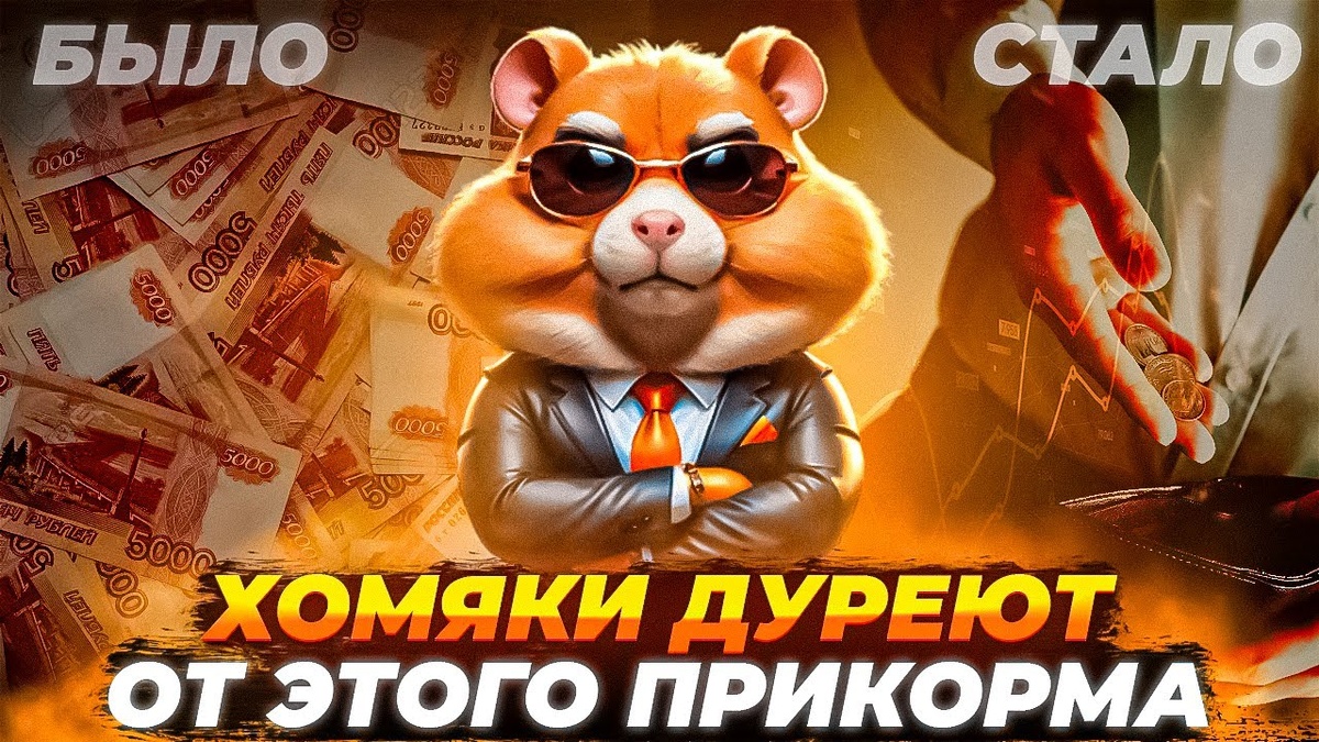 Современный тренд от чего дуреют Хомяки.Современный тренд от чего дуреют Хомяки.