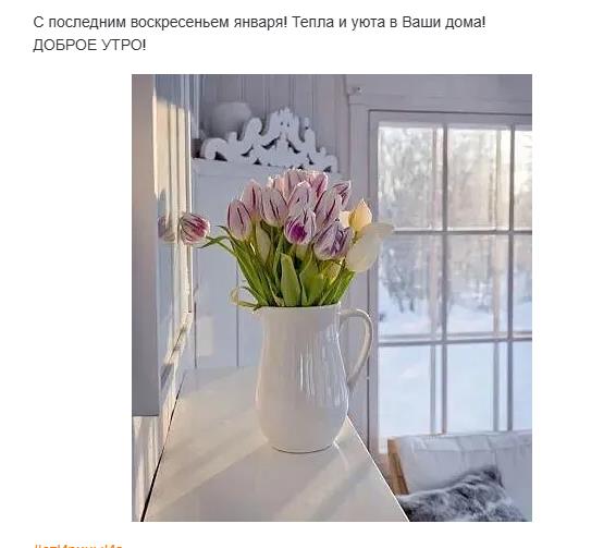 Цветы для любимой в последнее воскресенье января! Тепла и уюта вашему дому! Доброе утро!