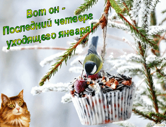 Смешная мерцающая gif картинка с котом - вот он последний четверг уходящего января. Смешная мерцающая gif картинка с котом - вот он последний четверг уходящего января.