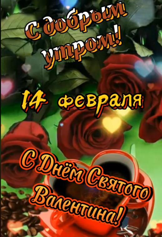 Цветочная картинка для любимой на 14 февраля "С добрым утром! С днём Святого Валентина!" (вертикальная на мобильный телефон, ватсап и вайбер). Цветочная картинка для любимой на 14 февраля "С добрым утром! С днём Святого Валентина!" (вертикальная на мобильный телефон, ватсап и вайбер).