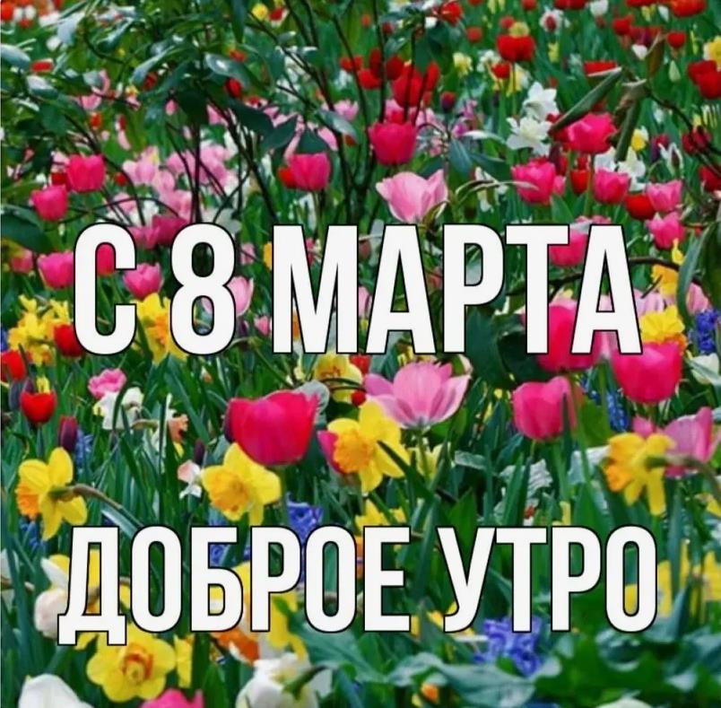 Цветочно весенняя картинка с добрым утром 8 марта. Цветочно весенняя картинка с добрым утром 8 марта.
