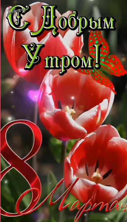 Новые утренние поздравления с 8 марта 2025 год в открытках. Новые утренние поздравления с 8 марта 2025 год в открытках.