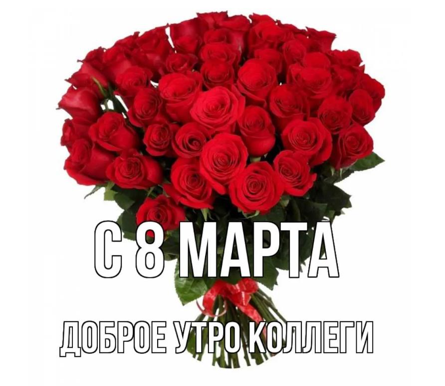 Букет красных роз на белом (прозрачном) фоне, утром 8 марта для коллег. Букет красных роз на белом (прозрачном) фоне, утром 8 марта для коллег.