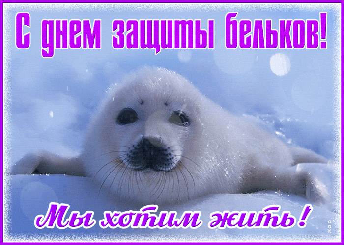 Прикольная зимняя гиф открытка ко дню защиты бельков.
