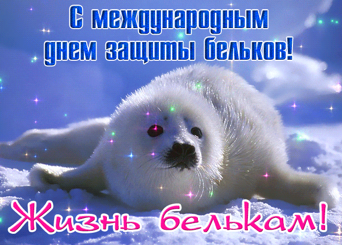 Блестящая и мерцающая gif картинка на всемирный день защиты бельков.