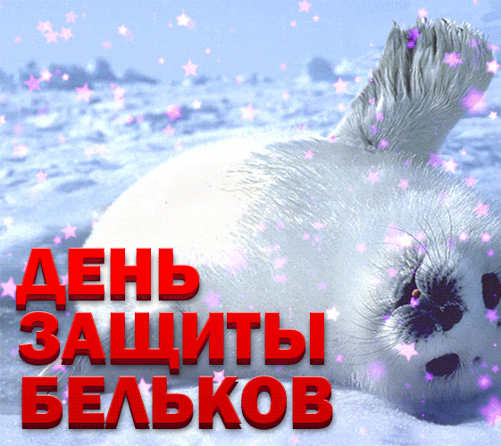 Смешная анимация в день защиты бельков.