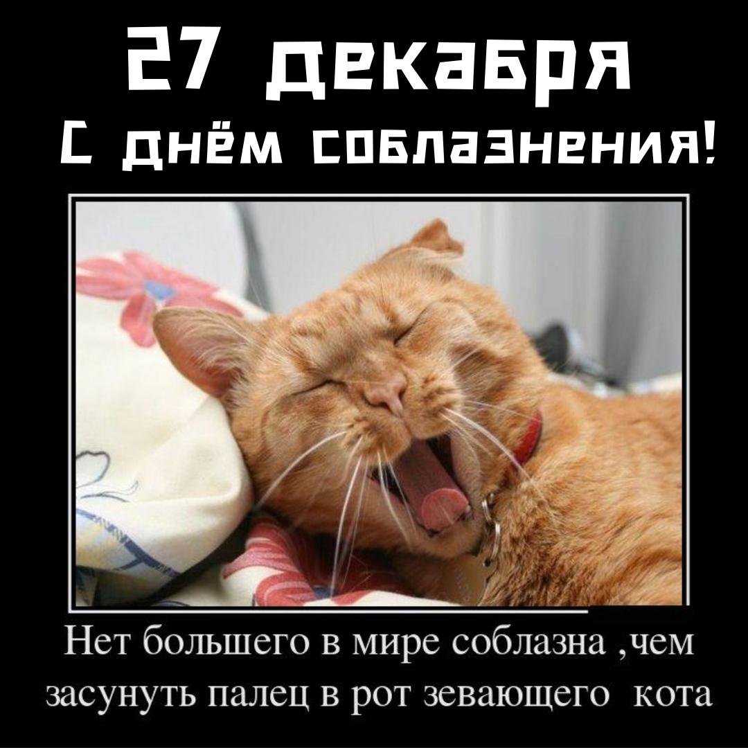 Нет в мире большего соблазна, чем засунуть палец в рот зевающего кота. Нет в мире большего соблазна, чем засунуть палец в рот зевающего кота.