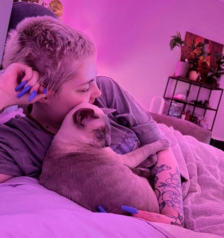 Хостинг картинок yapx.ru