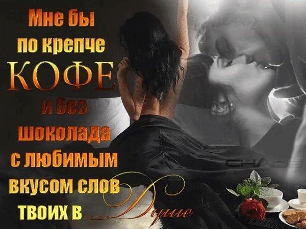 Хостинг картинок yapx.ru