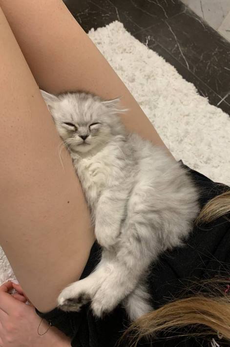 Горячие фото голой WhyLollyCry слив Онлифанса и Бусти. Горячие фото голой WhyLollyCry слив Онлифанса и Бусти.