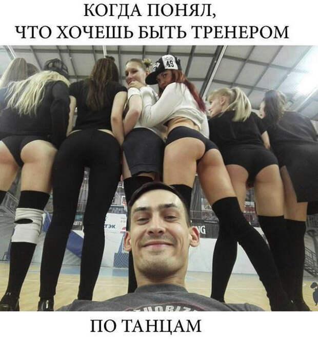 Хостинг картинок yapx.ru