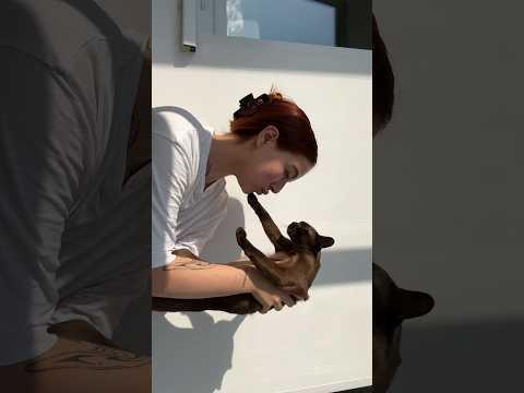 Хостинг картинок yapx.ru