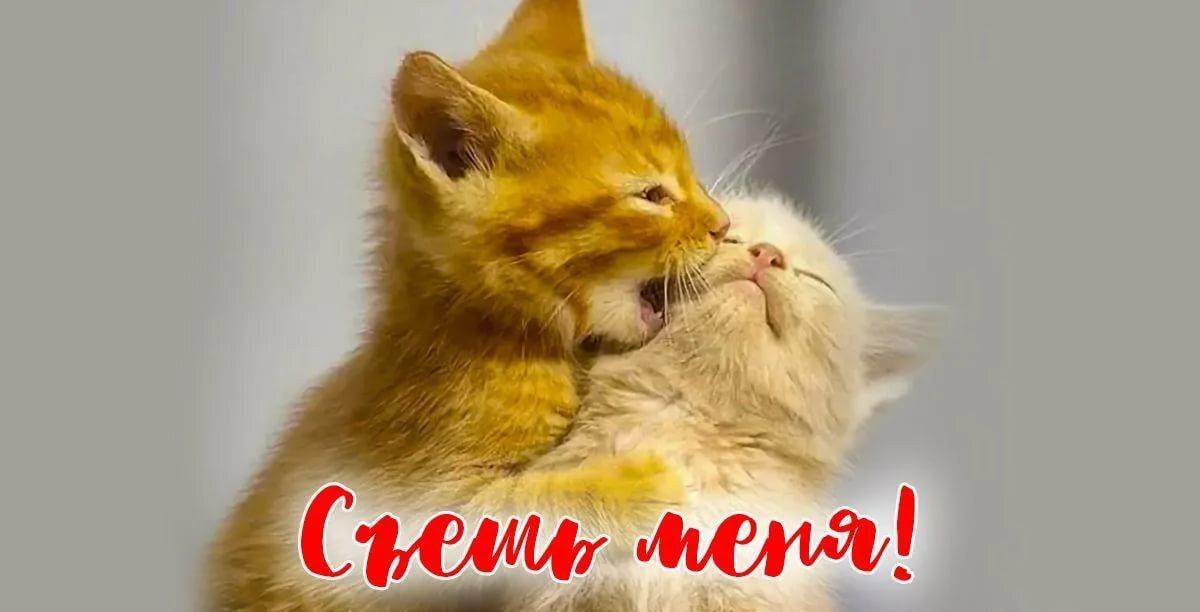 Хостинг картинок yapx.ru