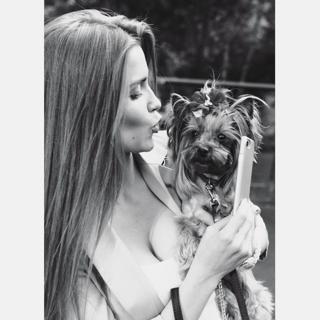 Хостинг картинок yapx.ru