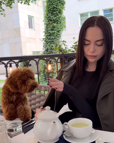 Хостинг картинок yapx.ru