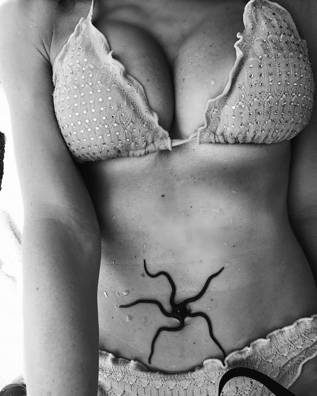 Хостинг картинок yapx.ru