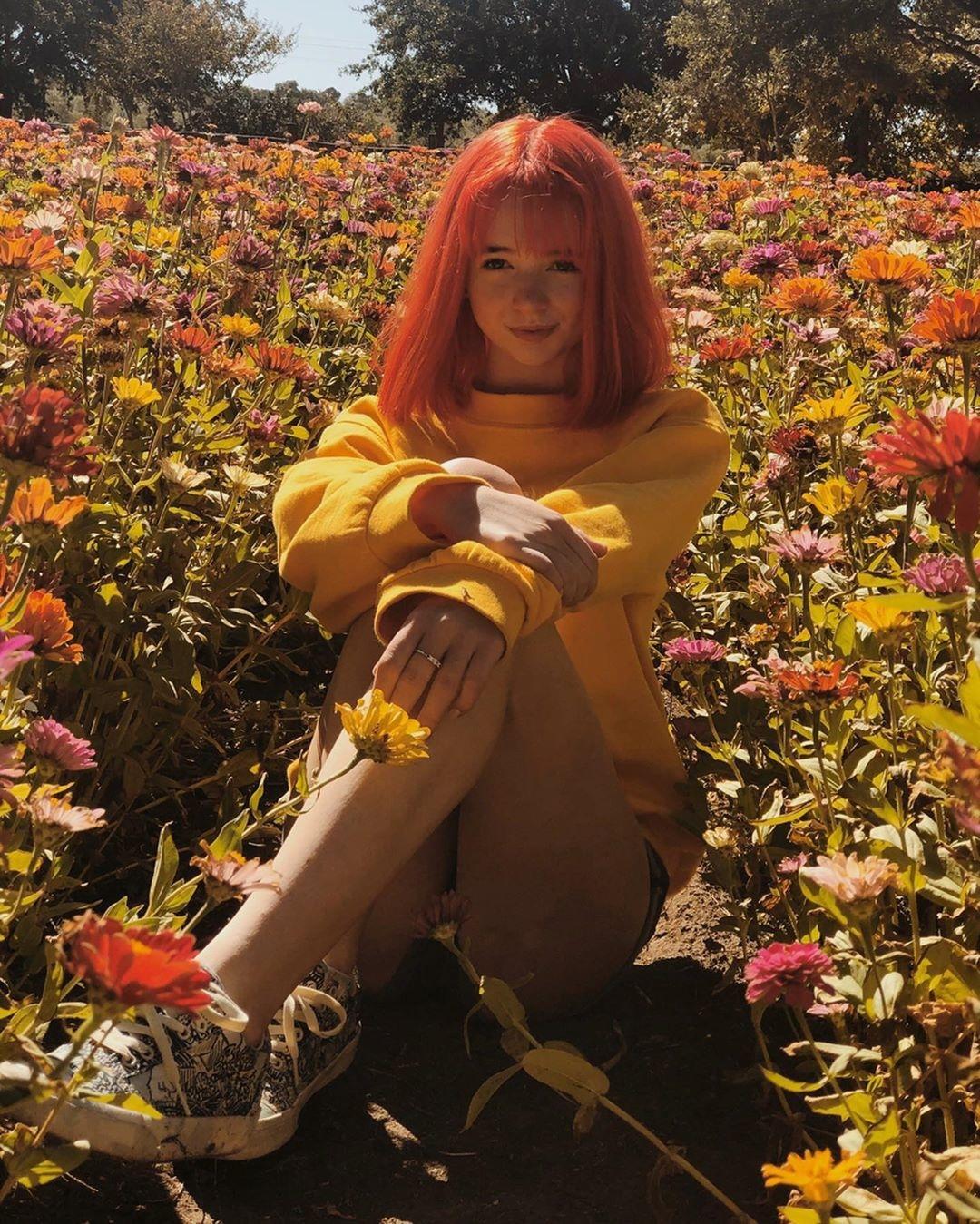 Красивый снимок Кити Кэт среди цветов. Красивый снимок Кити Кэт среди цветов.