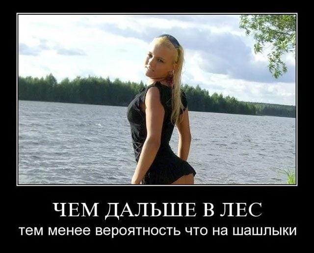 Хостинг картинок yapx.ru