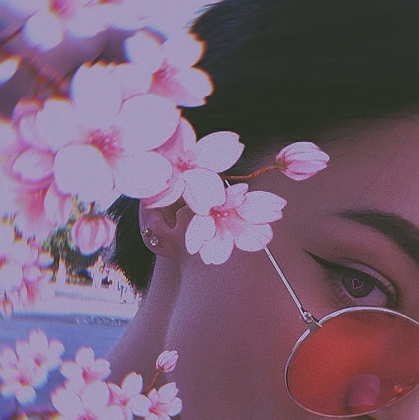 Хостинг картинок yapx.ru