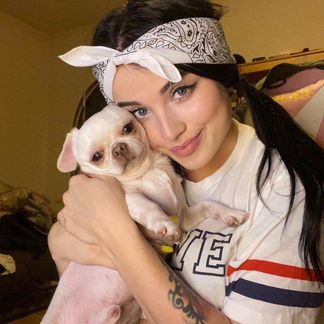 Хостинг картинок yapx.ru