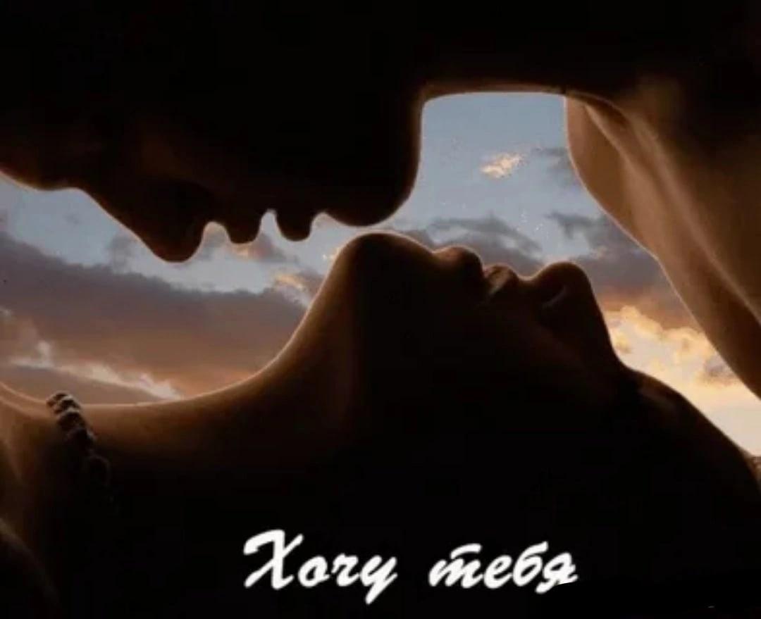 Хостинг картинок yapx.ru