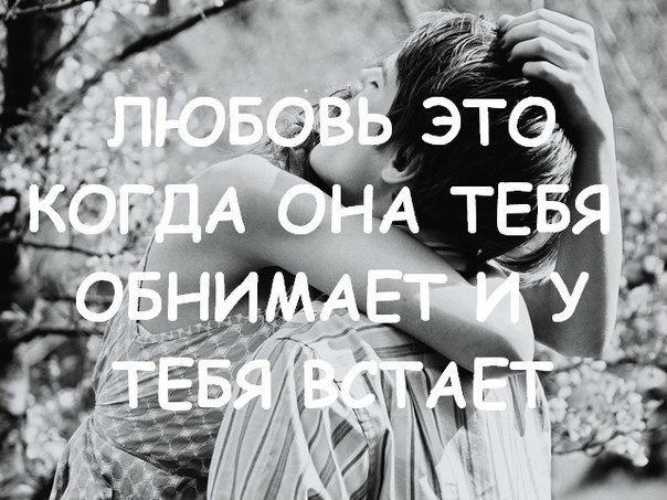 Хостинг картинок yapx.ru