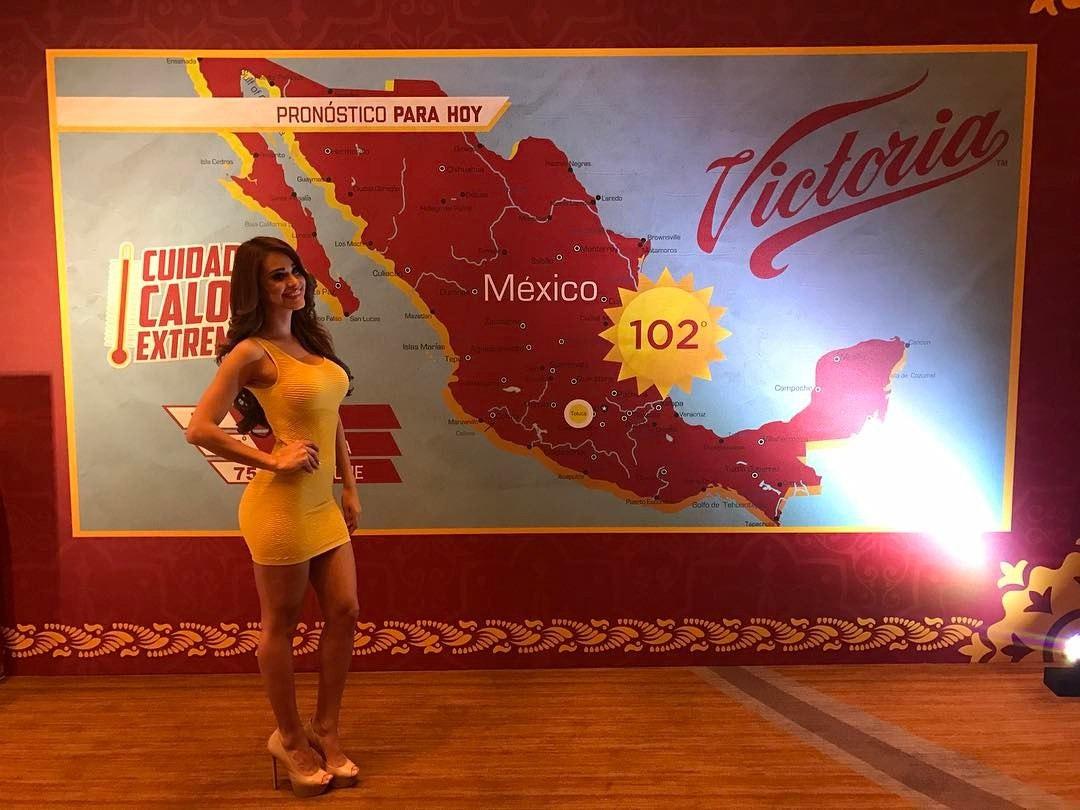 Хостинг картинок yapx.ru