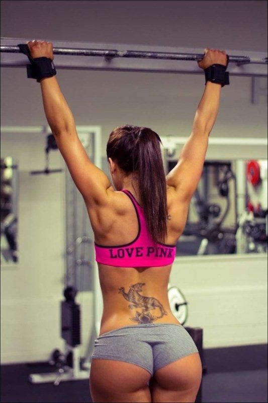 Хостинг картинок yapx.ru