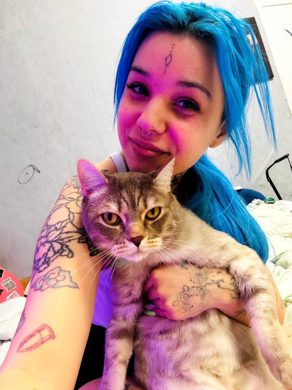 Забавный кадр с котом. Забавный кадр с котом.