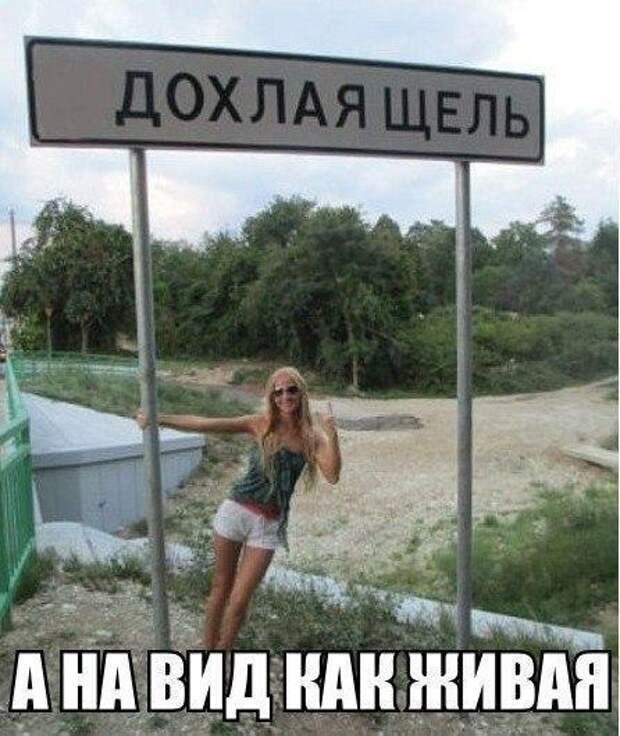 Хостинг картинок yapx.ru