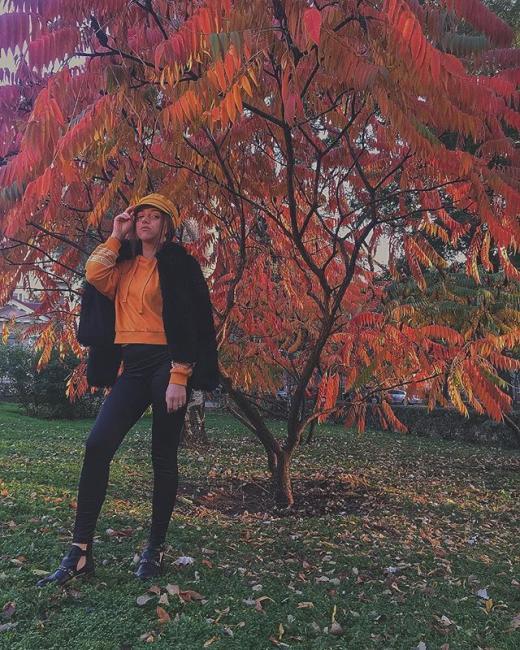 Хостинг картинок yapx.ru