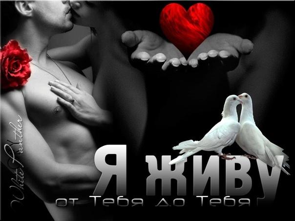 Хостинг картинок yapx.ru