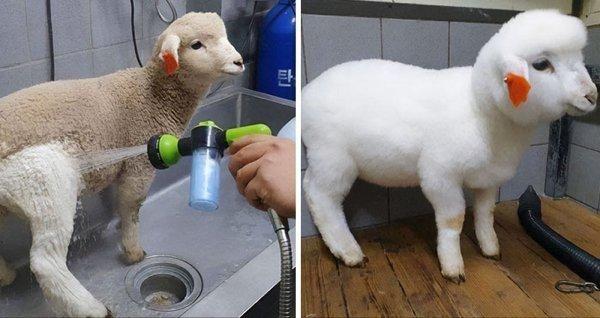 30 фотографий «до и после», от которых срывает башню 30 фотографий «до и после», от которых срывает башню