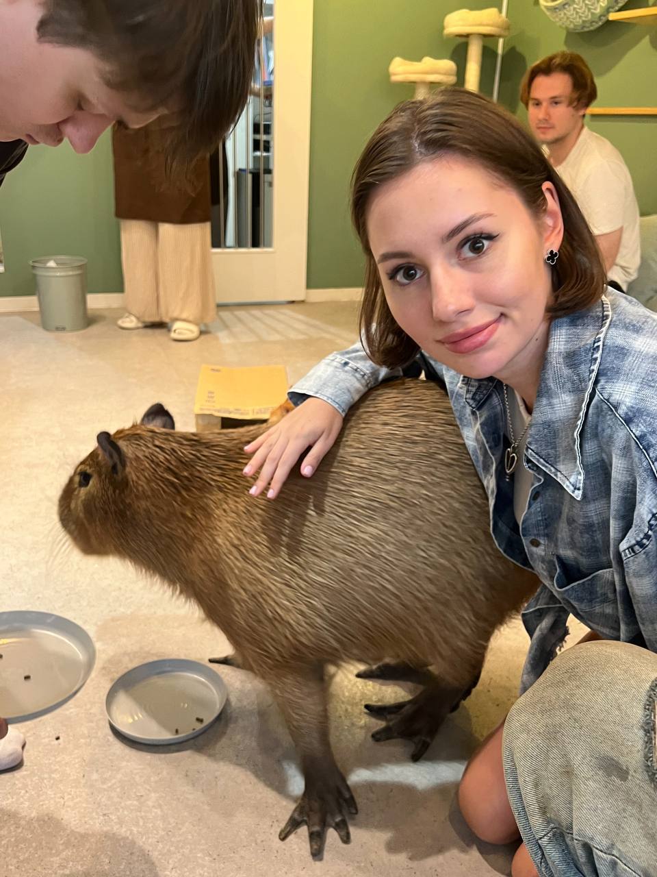 Новое забавное фото Каролины с капибарой, на заднем плане грустит Эксайл. Новое забавное фото Каролины с капибарой, на заднем плане грустит Эксайл.