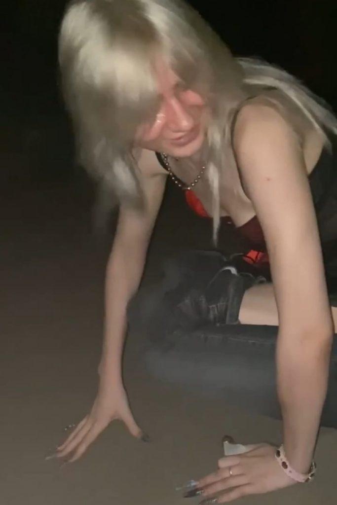 Алёна тиктокерша Шметерова, Элайна Шметерова.