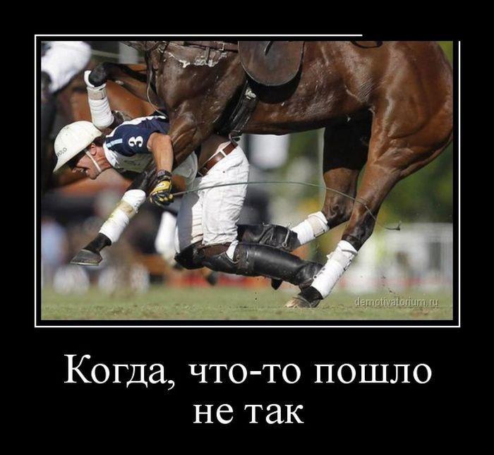 Хостинг картинок yapx.ru